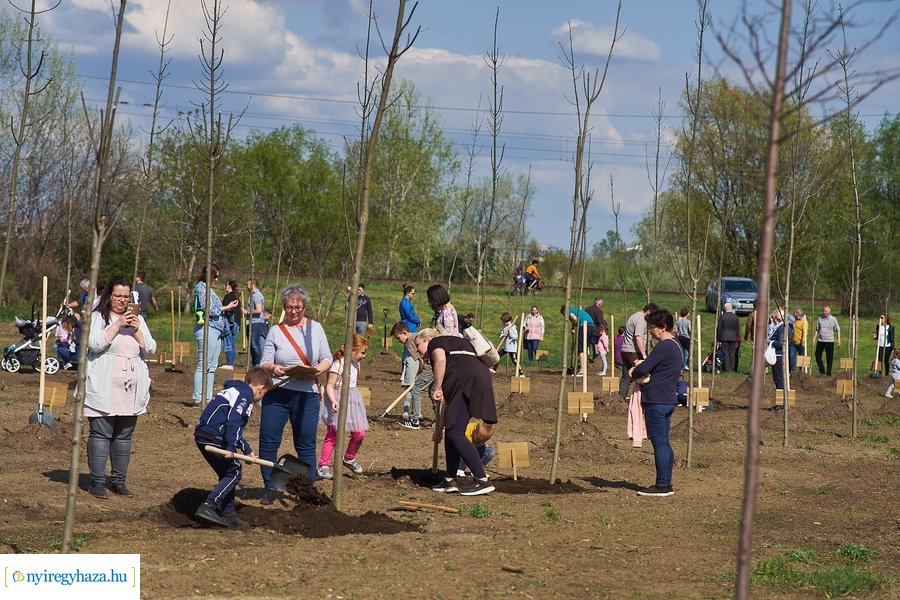 Faültetés az Újéletfa-ligetben 2022