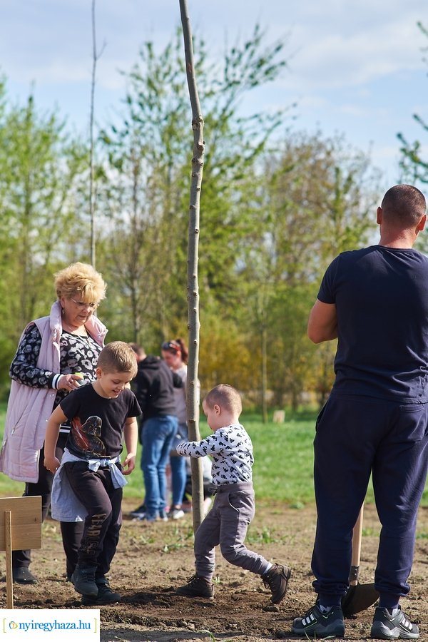 Faültetés az Újéletfa-ligetben 2022