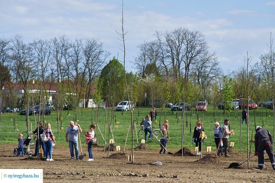 Faültetés az Újéletfa-ligetben 2022