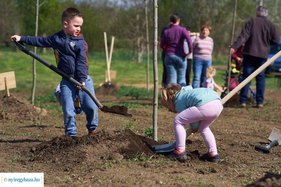 Faültetés az Újéletfa-ligetben 2022