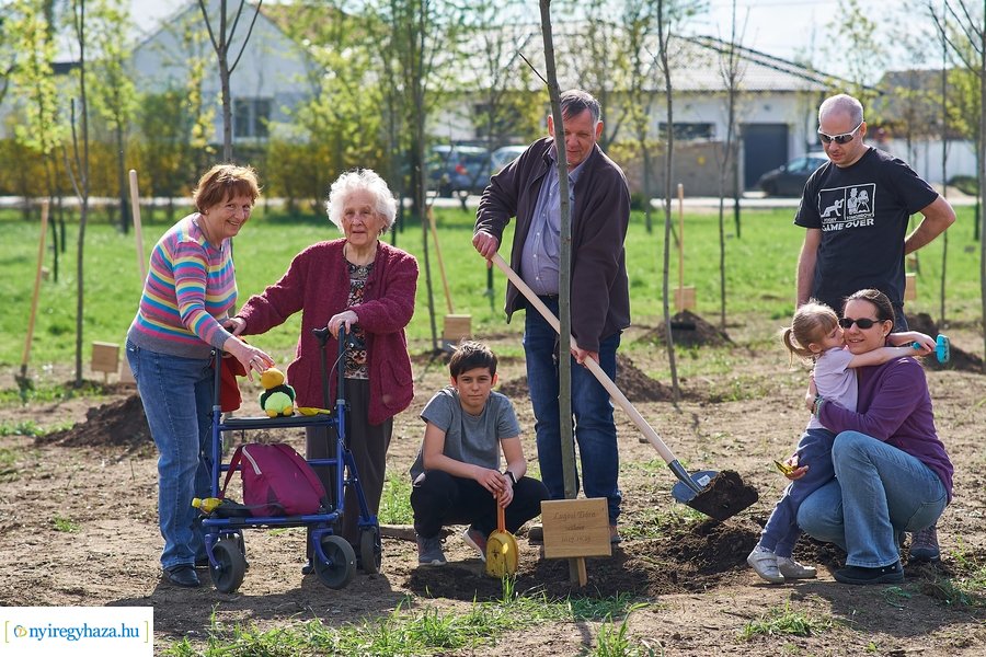 Faültetés az Újéletfa-ligetben 2022