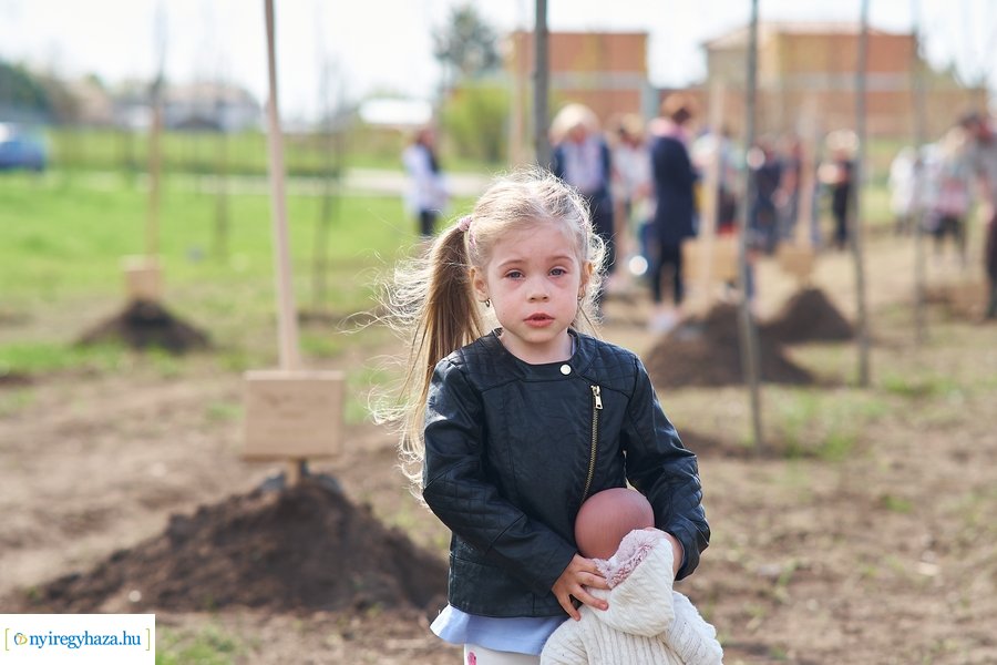 Faültetés az Újéletfa-ligetben 2022