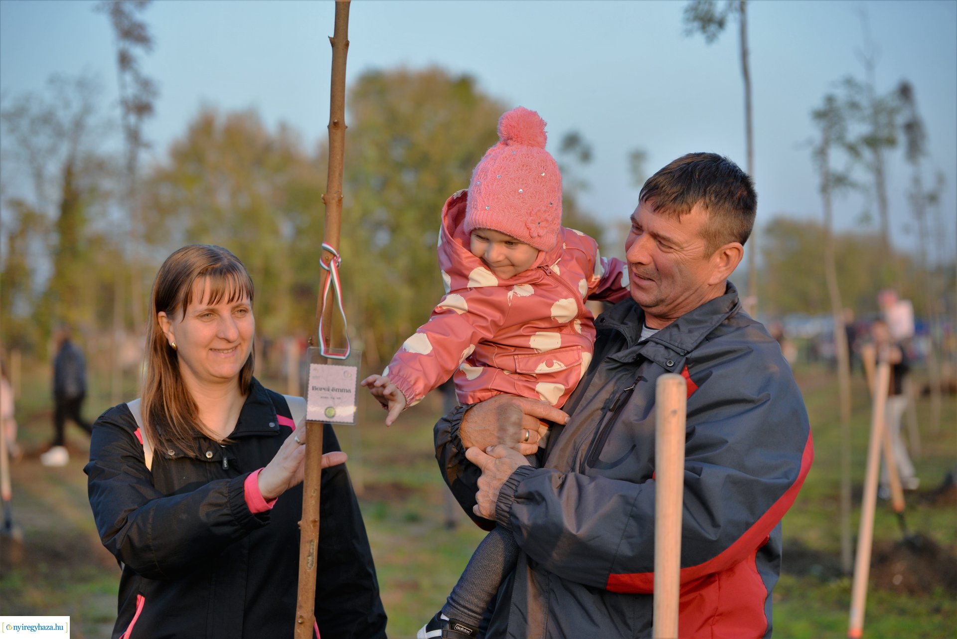 Faültetés az Újéletfa ligetben 2022