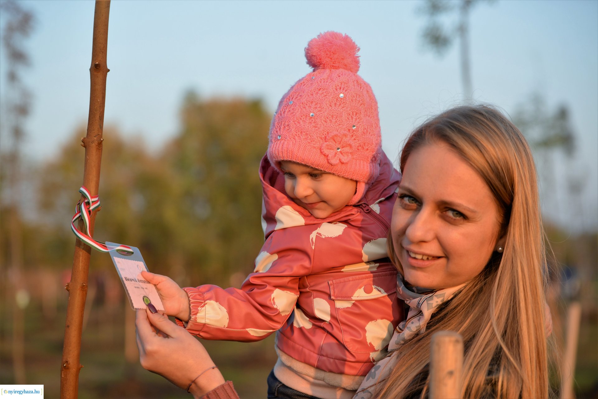 Faültetés az Újéletfa ligetben 2022