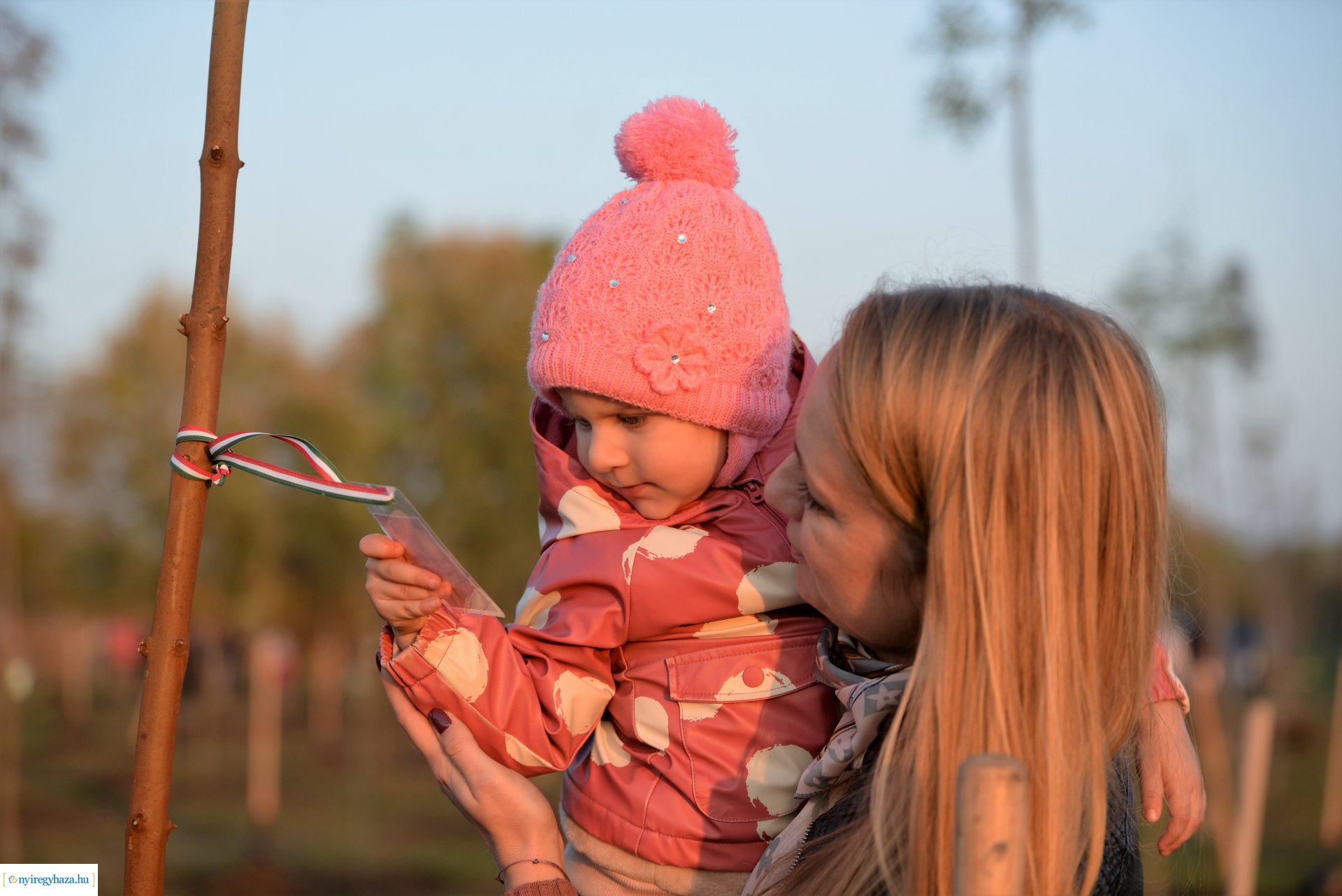 Faültetés az Újéletfa ligetben 2022