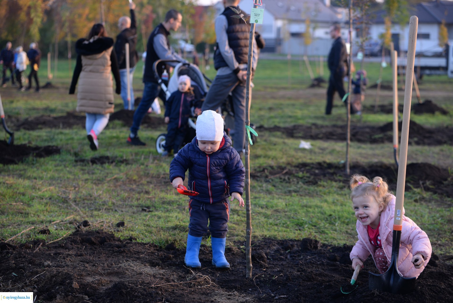 Faültetés az Újéletfa ligetben 2022