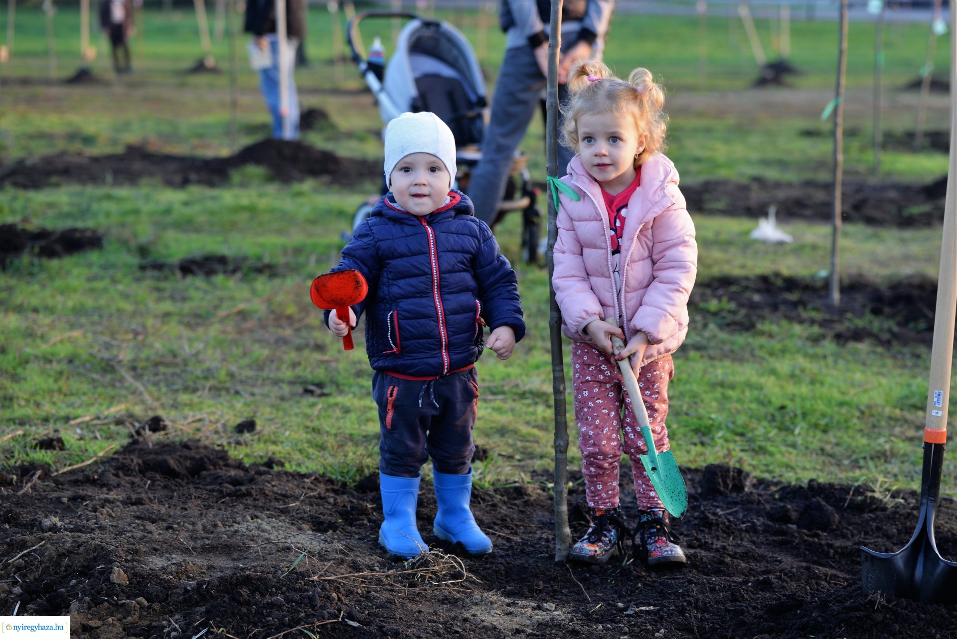 Faültetés az Újéletfa ligetben 2022
