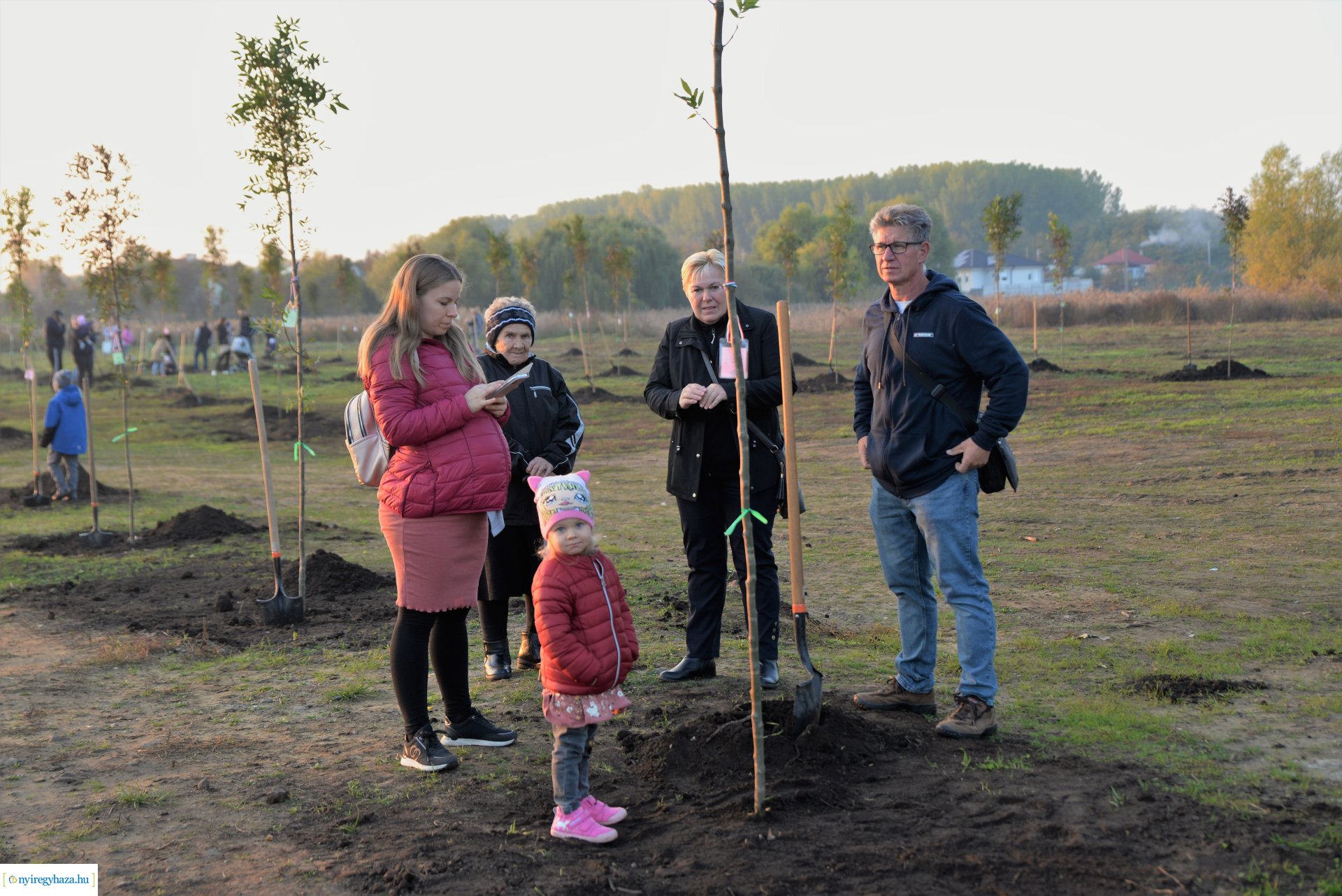Faültetés az Újéletfa ligetben 2022