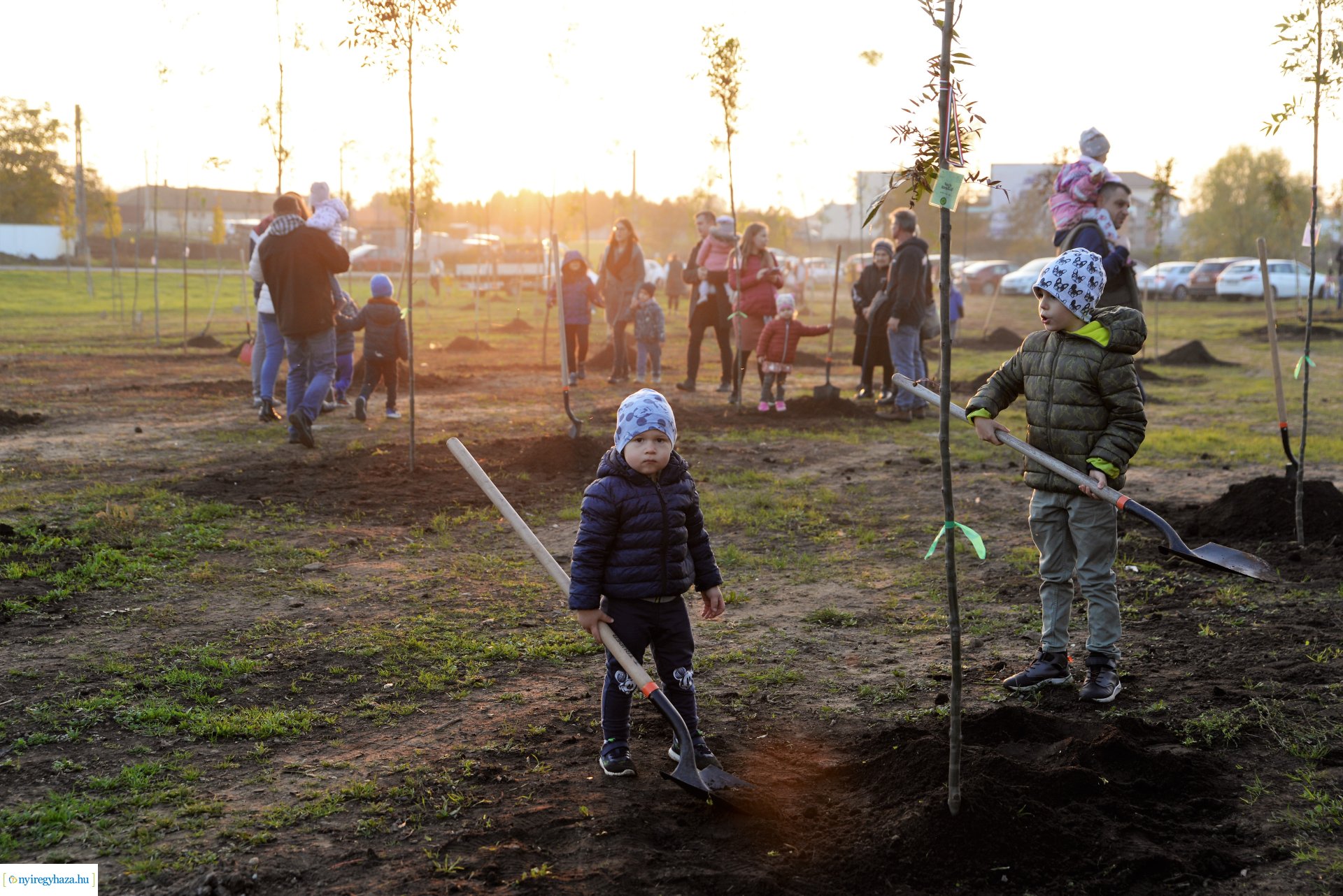 Faültetés az Újéletfa ligetben 2022