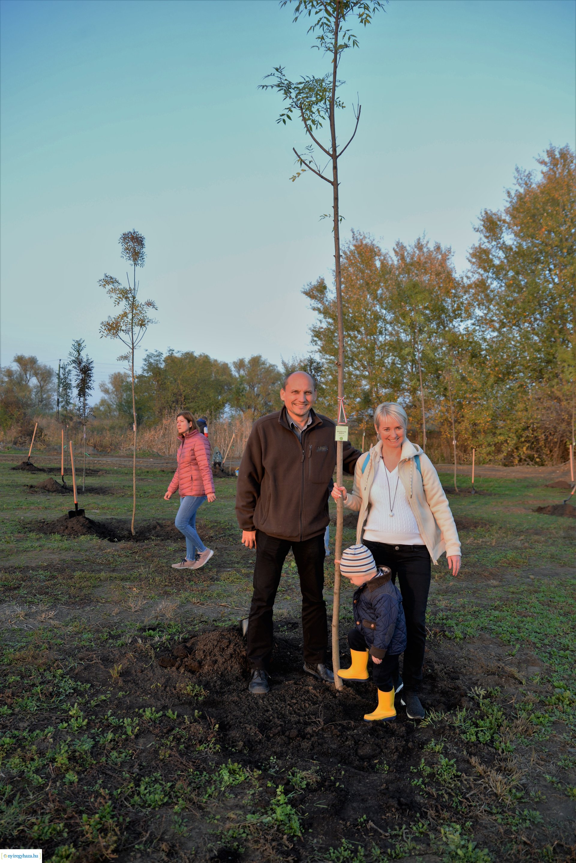 Faültetés az Újéletfa ligetben 2022