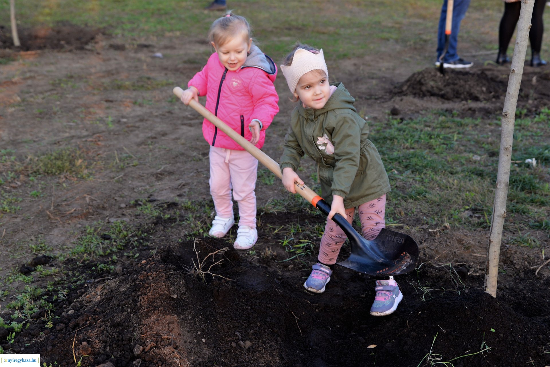 Faültetés az Újéletfa ligetben 2022