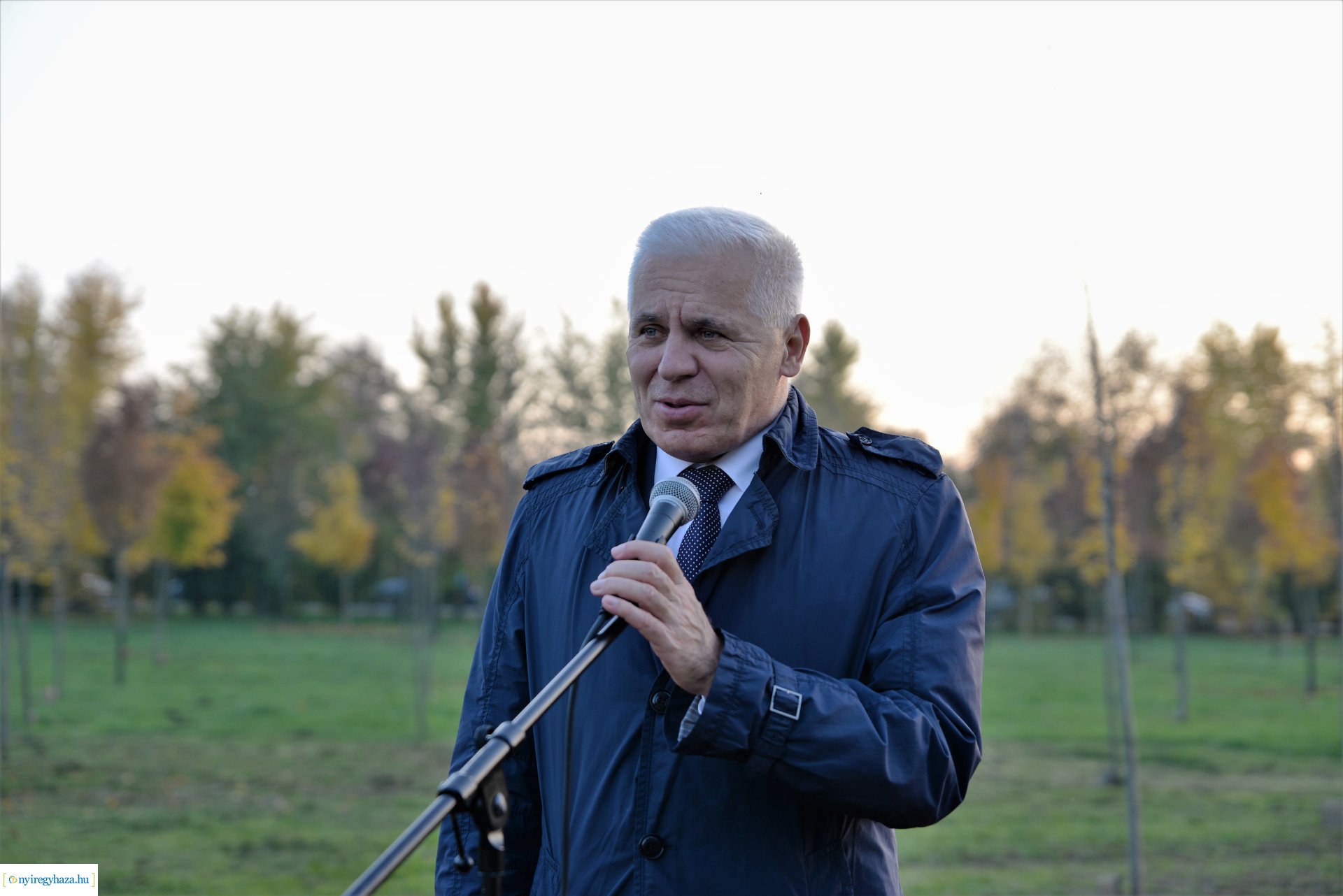 Faültetés az Újéletfa ligetben 2022