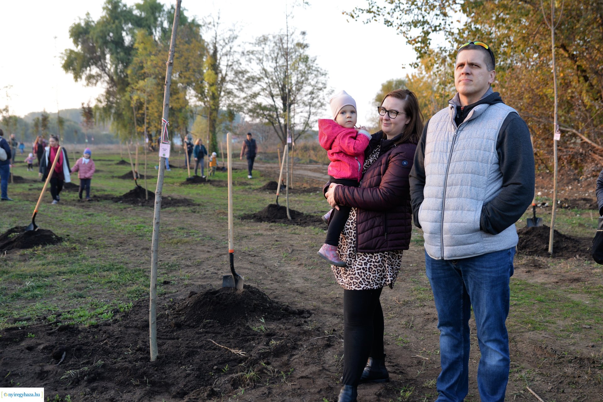 Faültetés az Újéletfa ligetben 2022