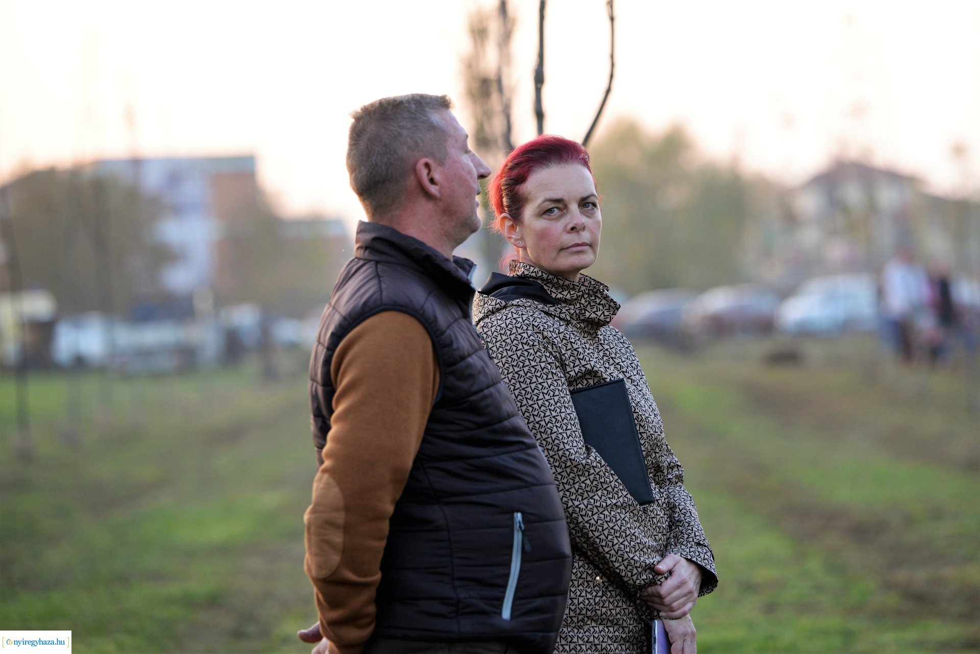 Faültetés az Újéletfa ligetben 2022