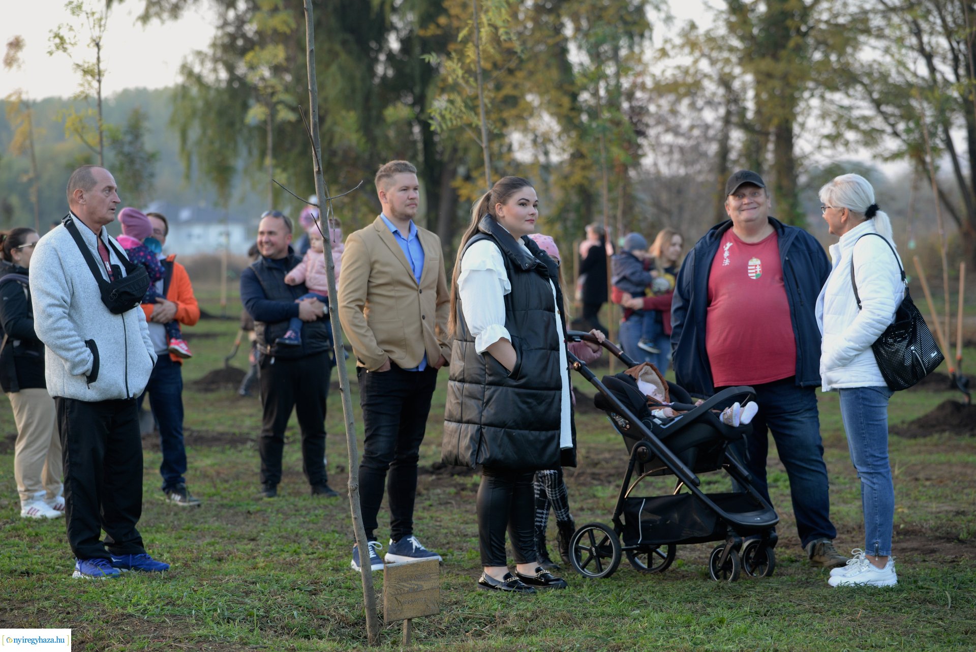 Faültetés az Újéletfa ligetben 2022