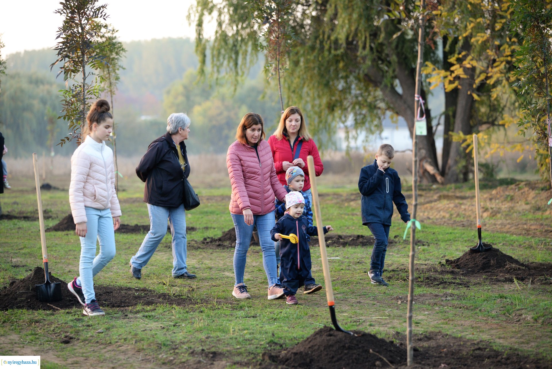 Faültetés az Újéletfa ligetben 2022