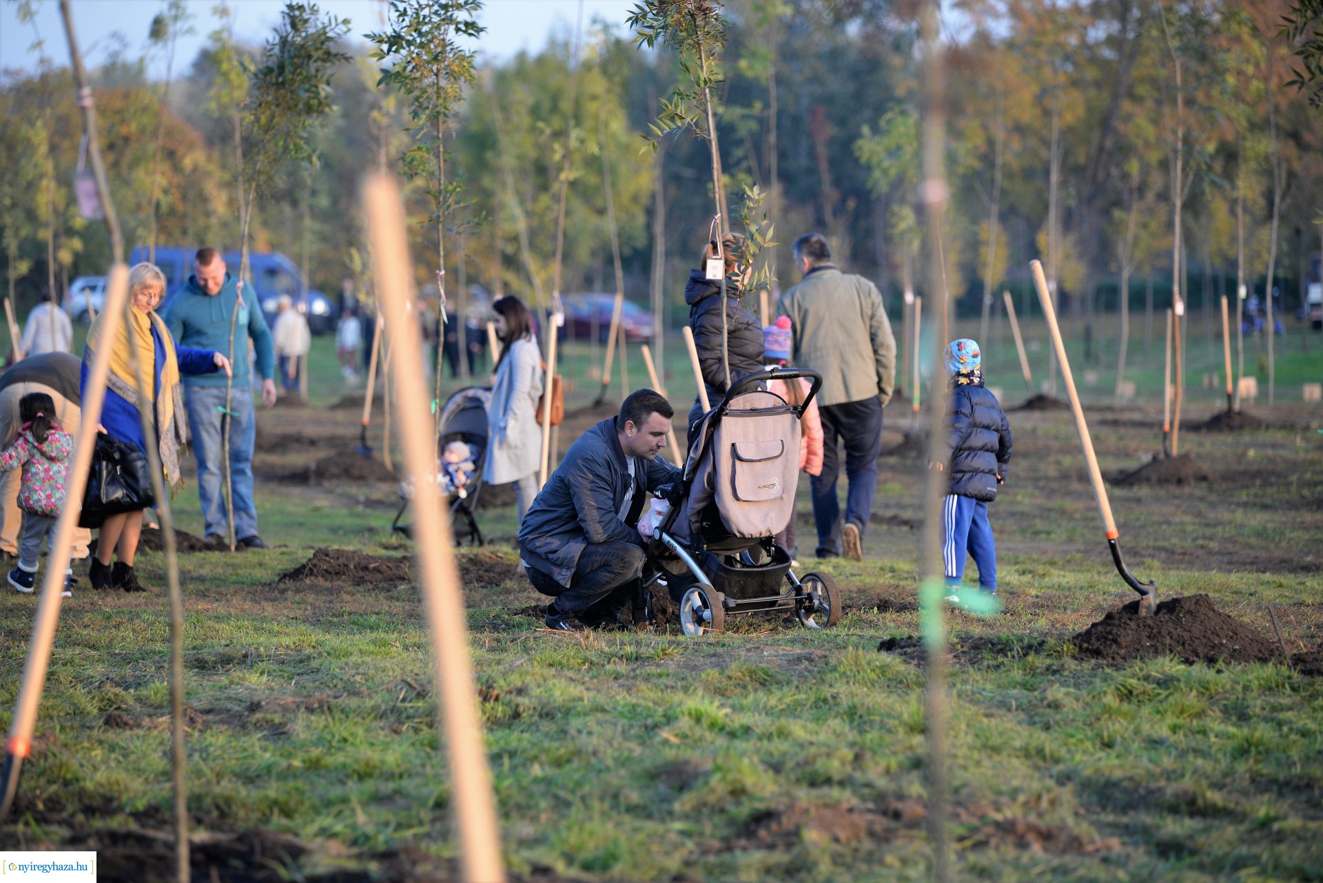Faültetés az Újéletfa ligetben 2022