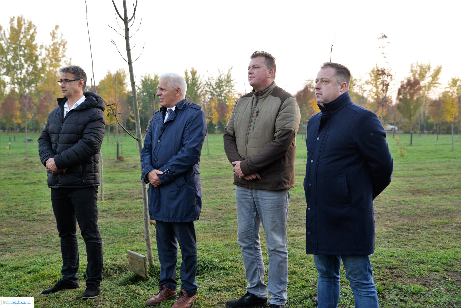 Faültetés az Újéletfa ligetben 2022