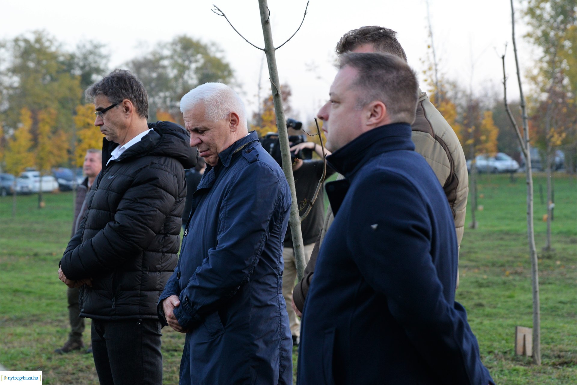 Faültetés az Újéletfa ligetben 2022