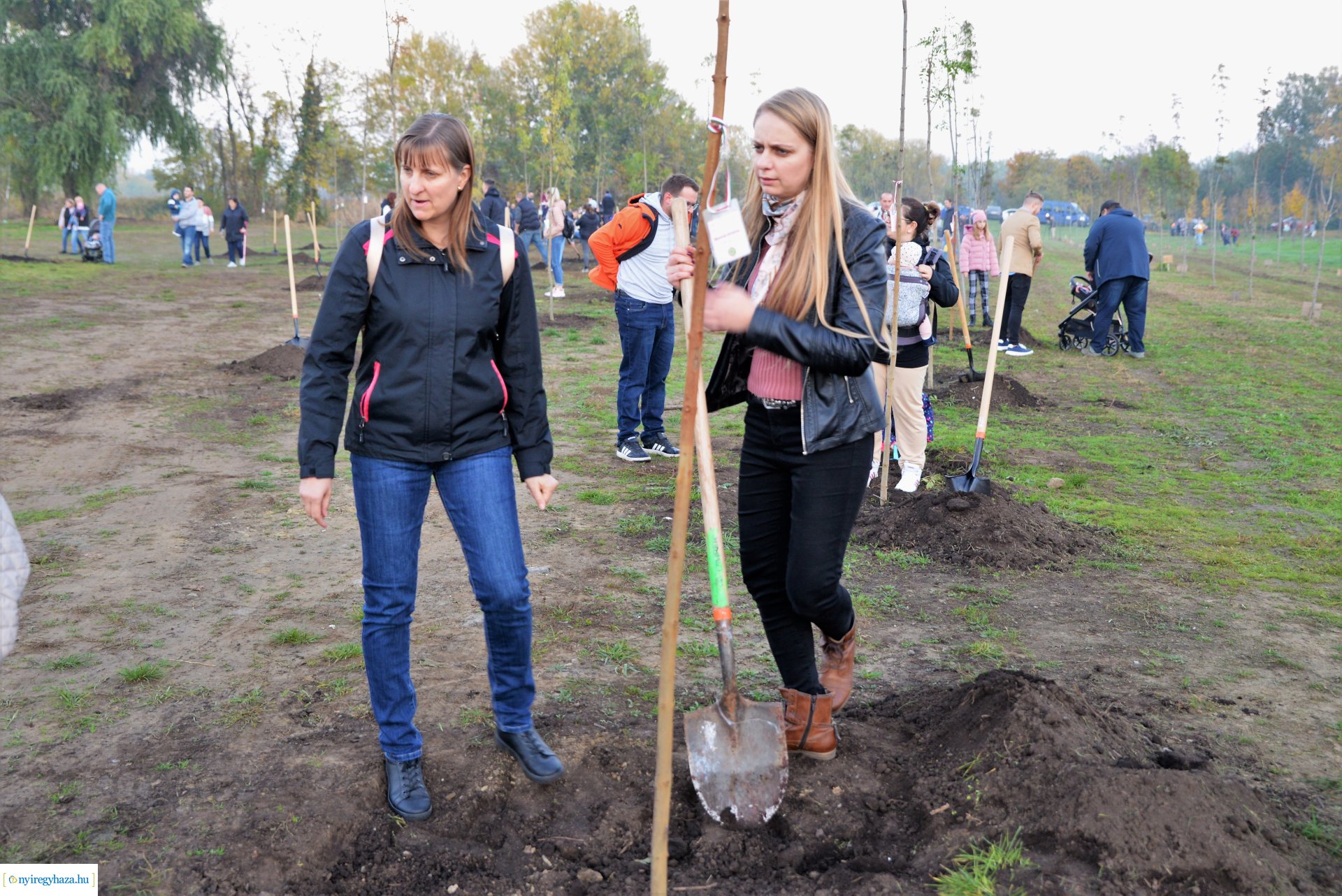 Faültetés az Újéletfa ligetben 2022