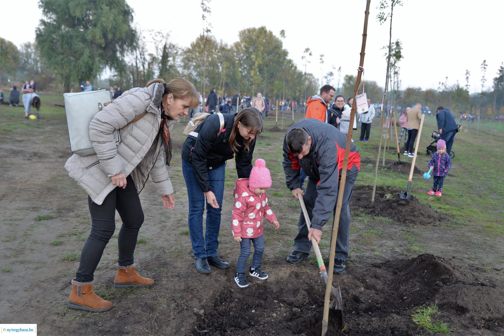 Faültetés az Újéletfa ligetben 2022