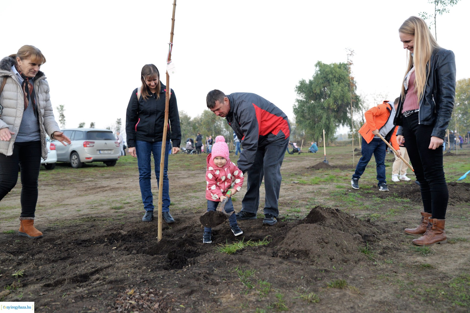 Faültetés az Újéletfa ligetben 2022
