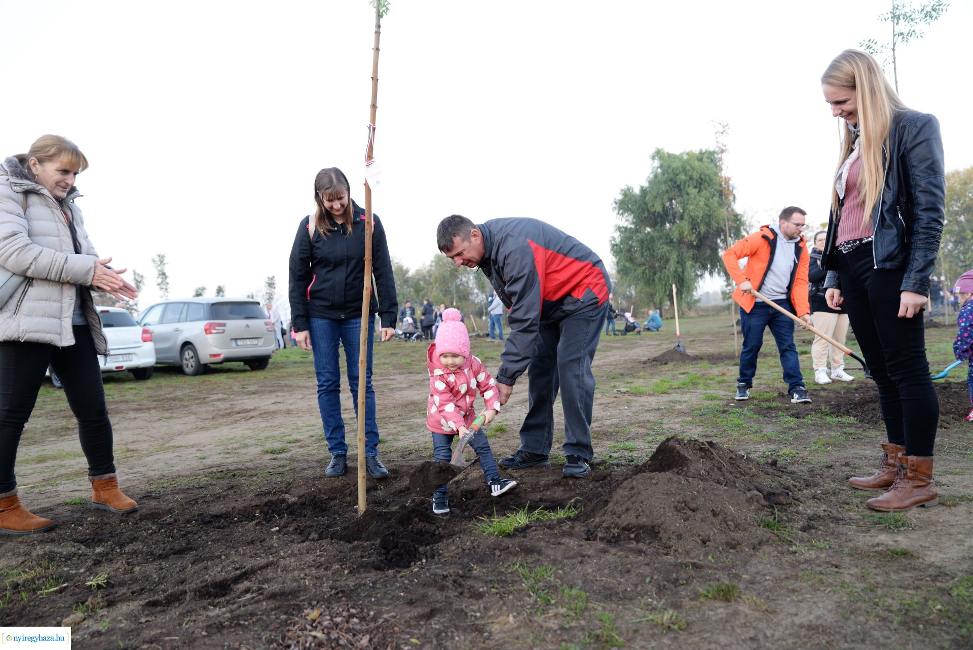 Faültetés az Újéletfa ligetben 2022