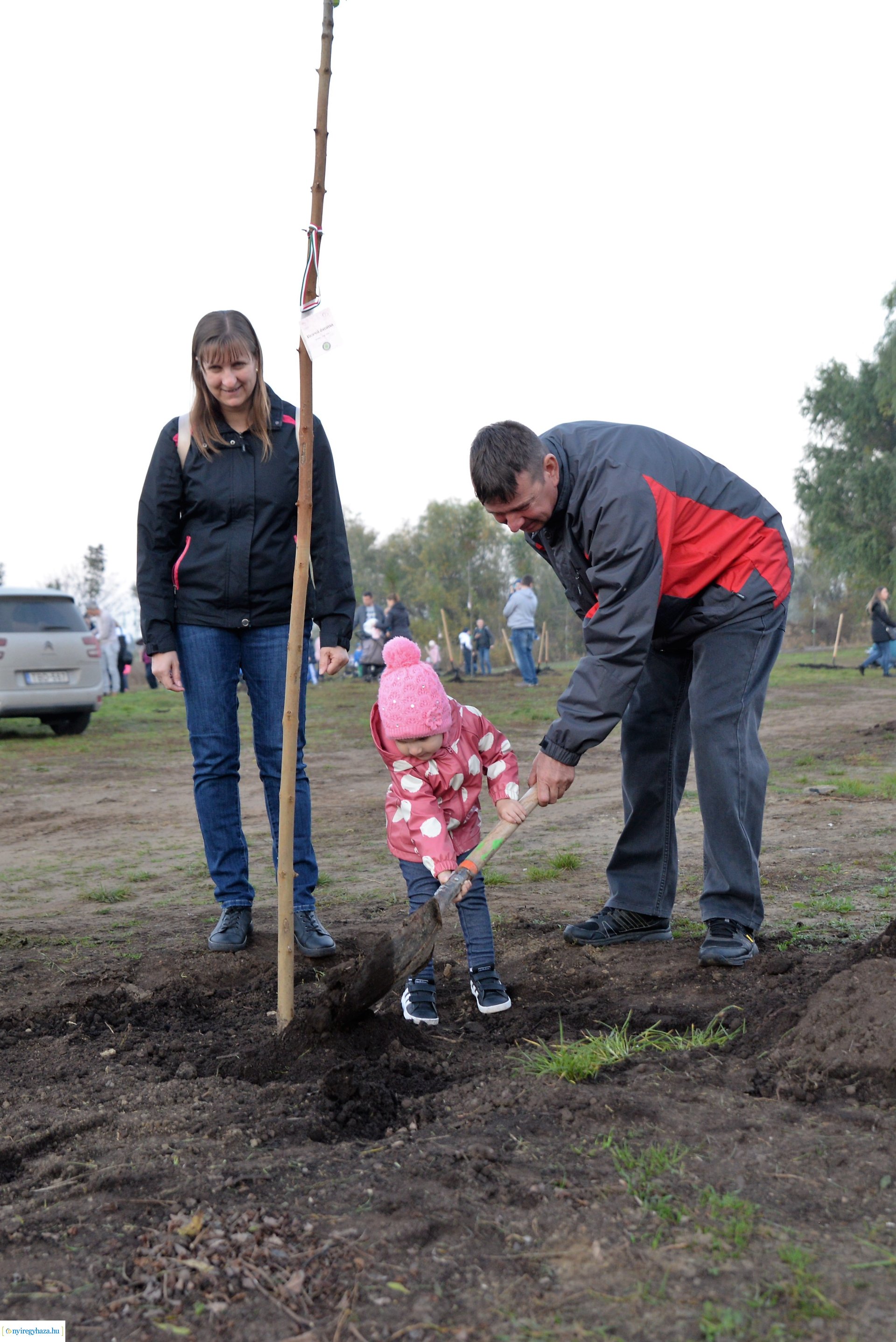 Faültetés az Újéletfa ligetben 2022