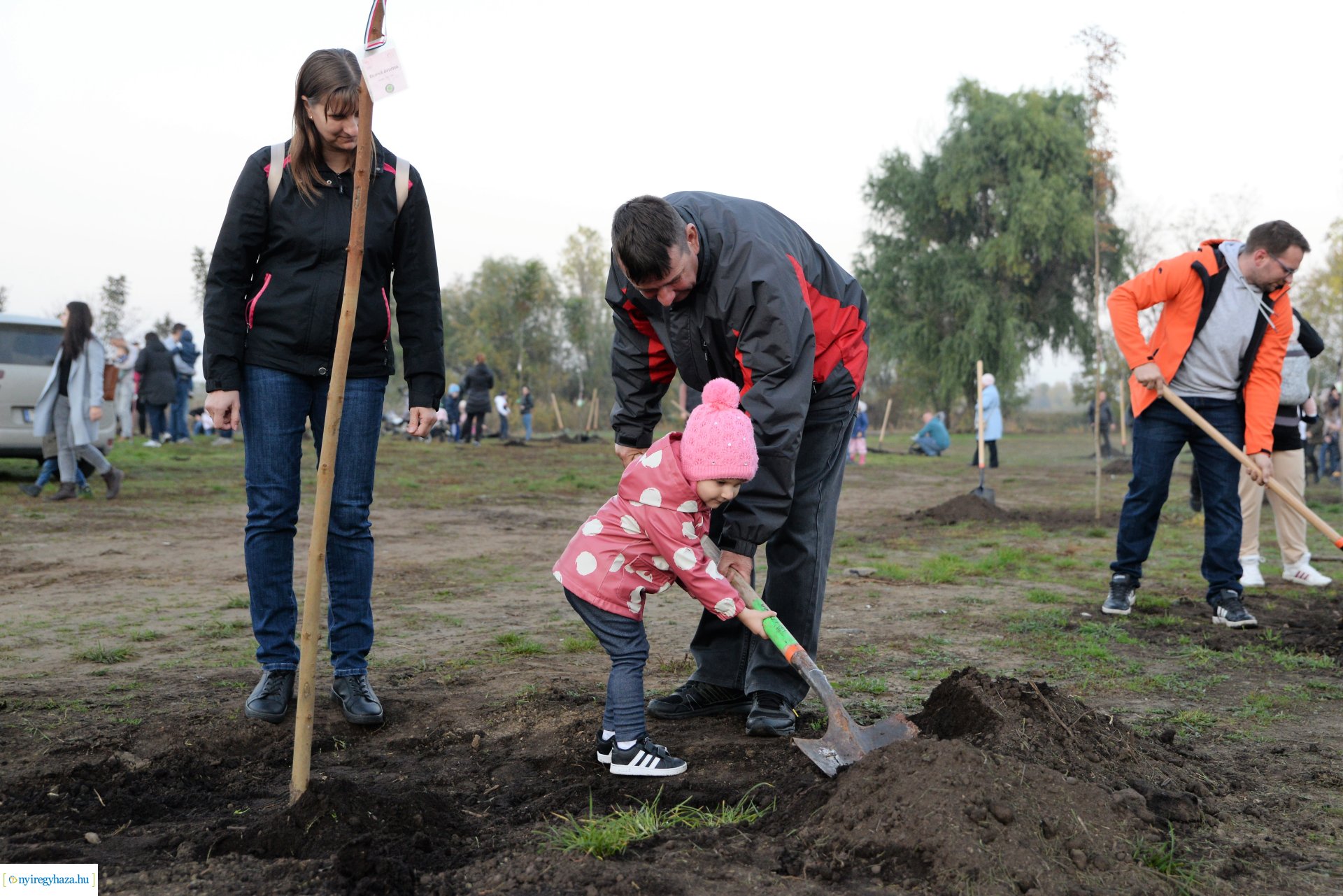Faültetés az Újéletfa ligetben 2022