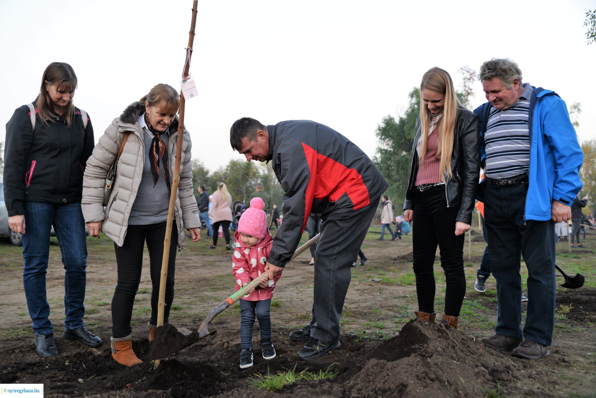 Faültetés az Újéletfa ligetben 2022