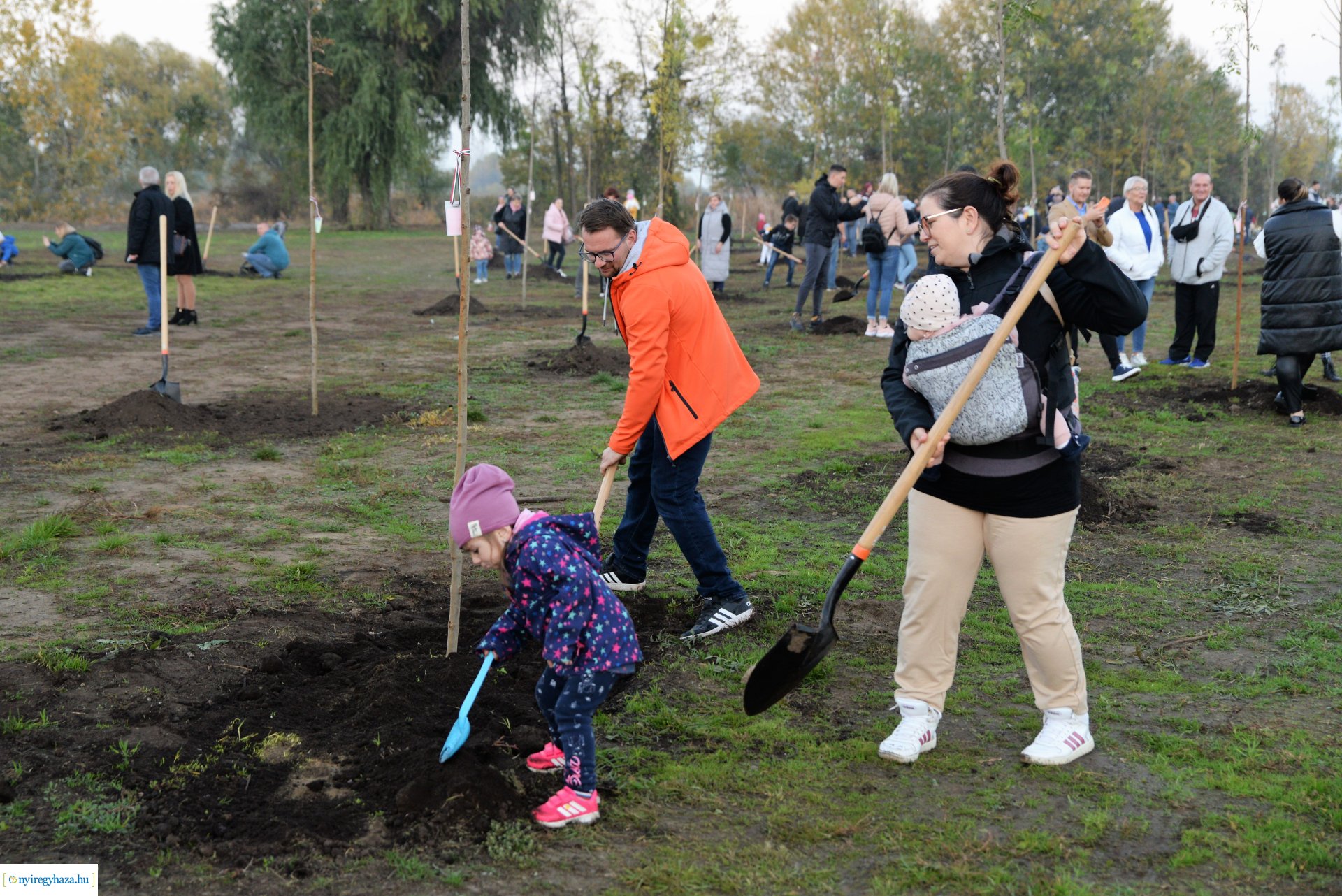 Faültetés az Újéletfa ligetben 2022