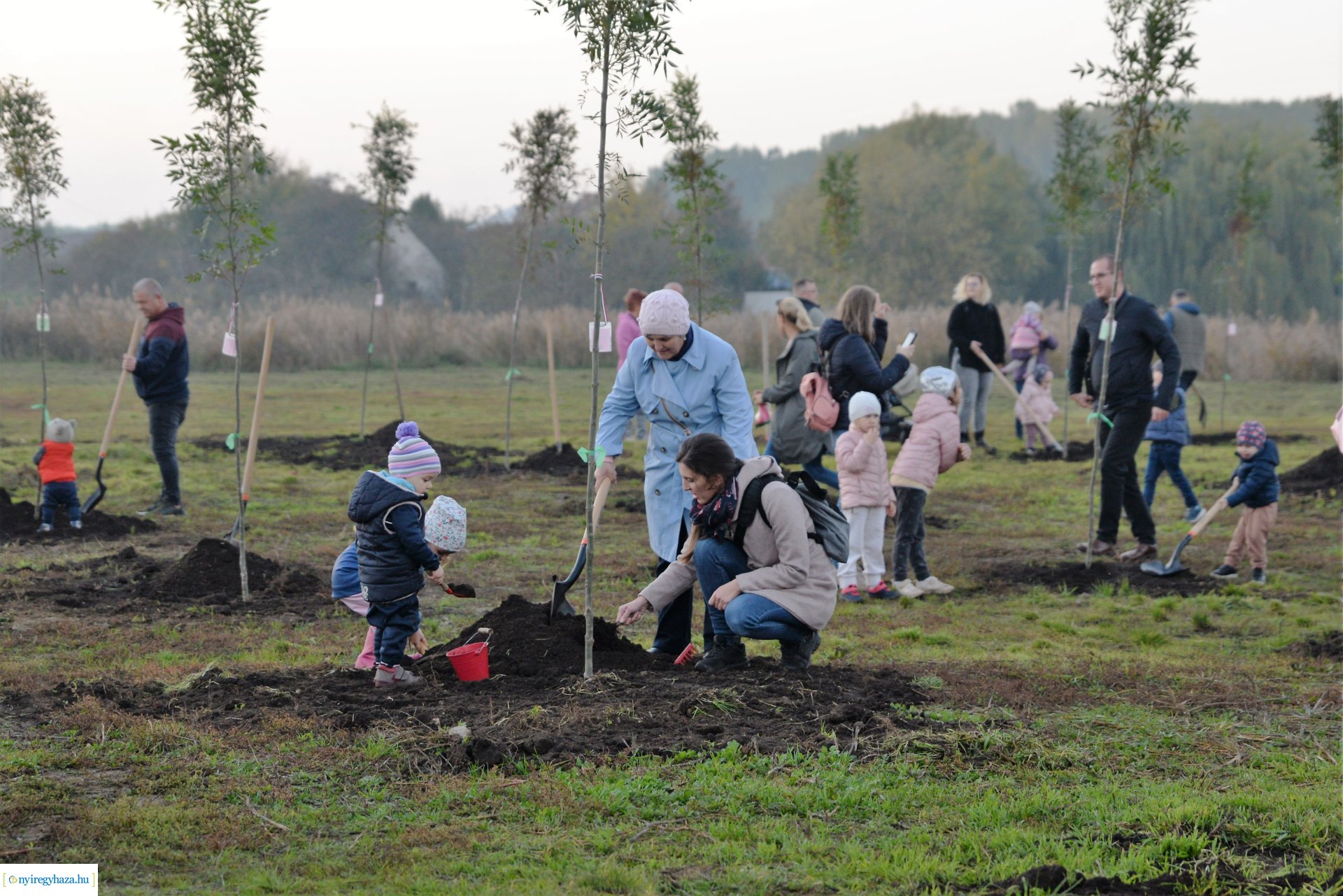 Faültetés az Újéletfa ligetben 2022