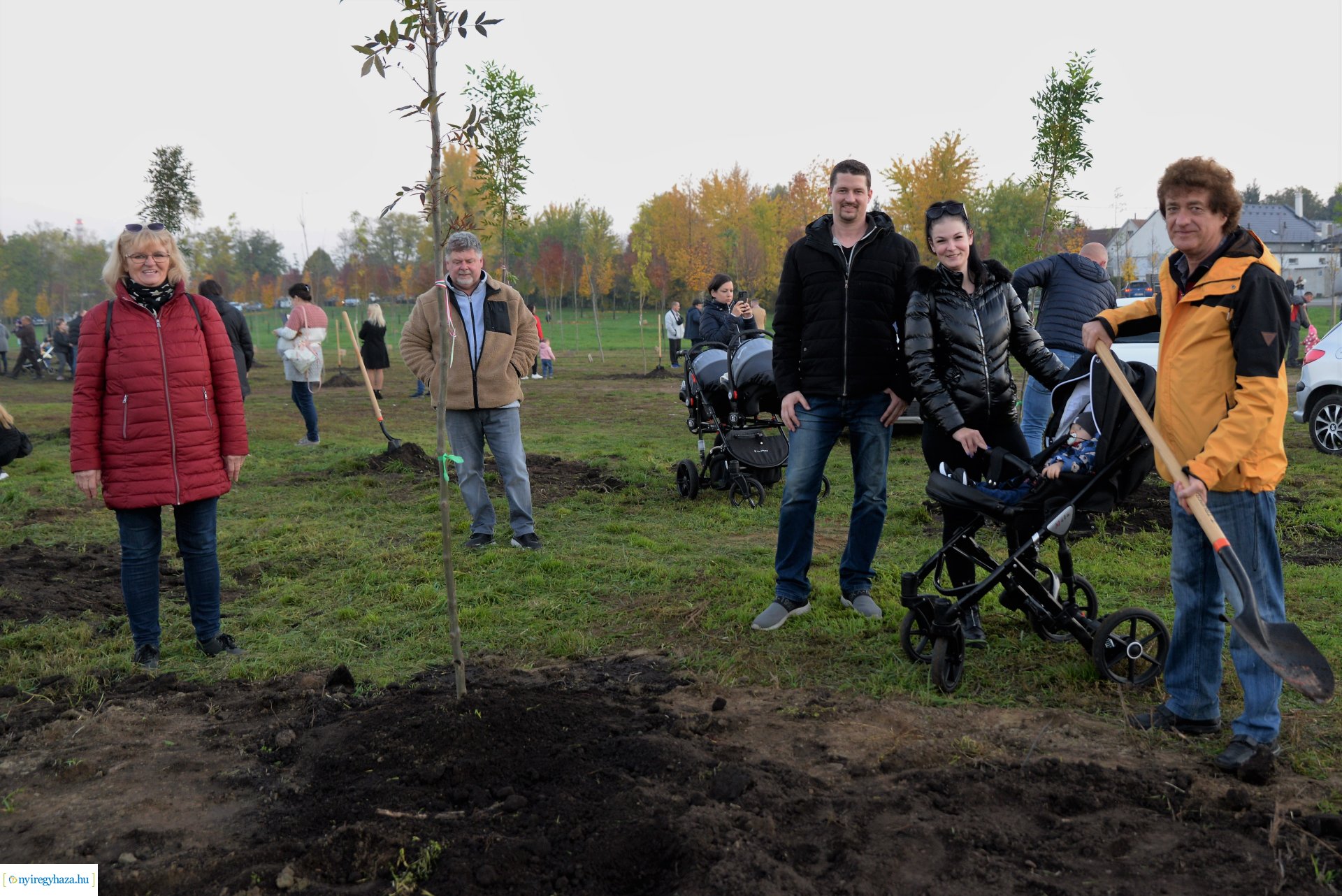Faültetés az Újéletfa ligetben 2022