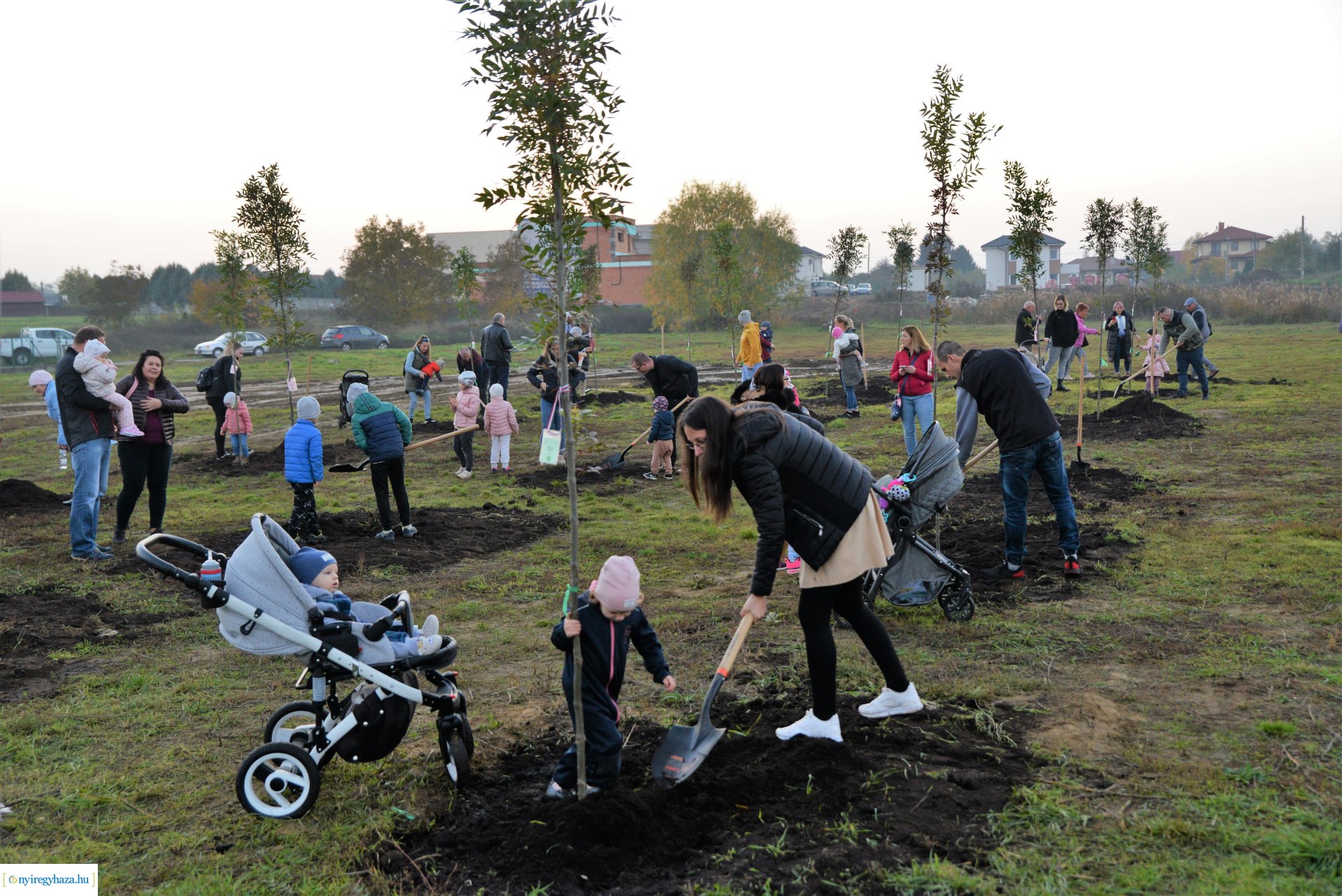 Faültetés az Újéletfa ligetben 2022