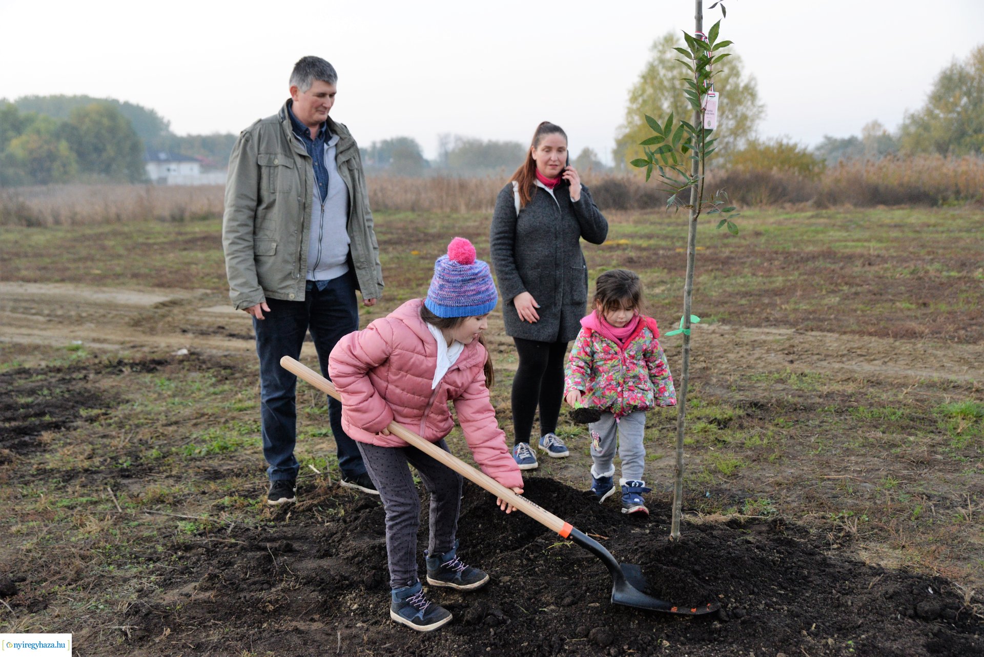 Faültetés az Újéletfa ligetben 2022