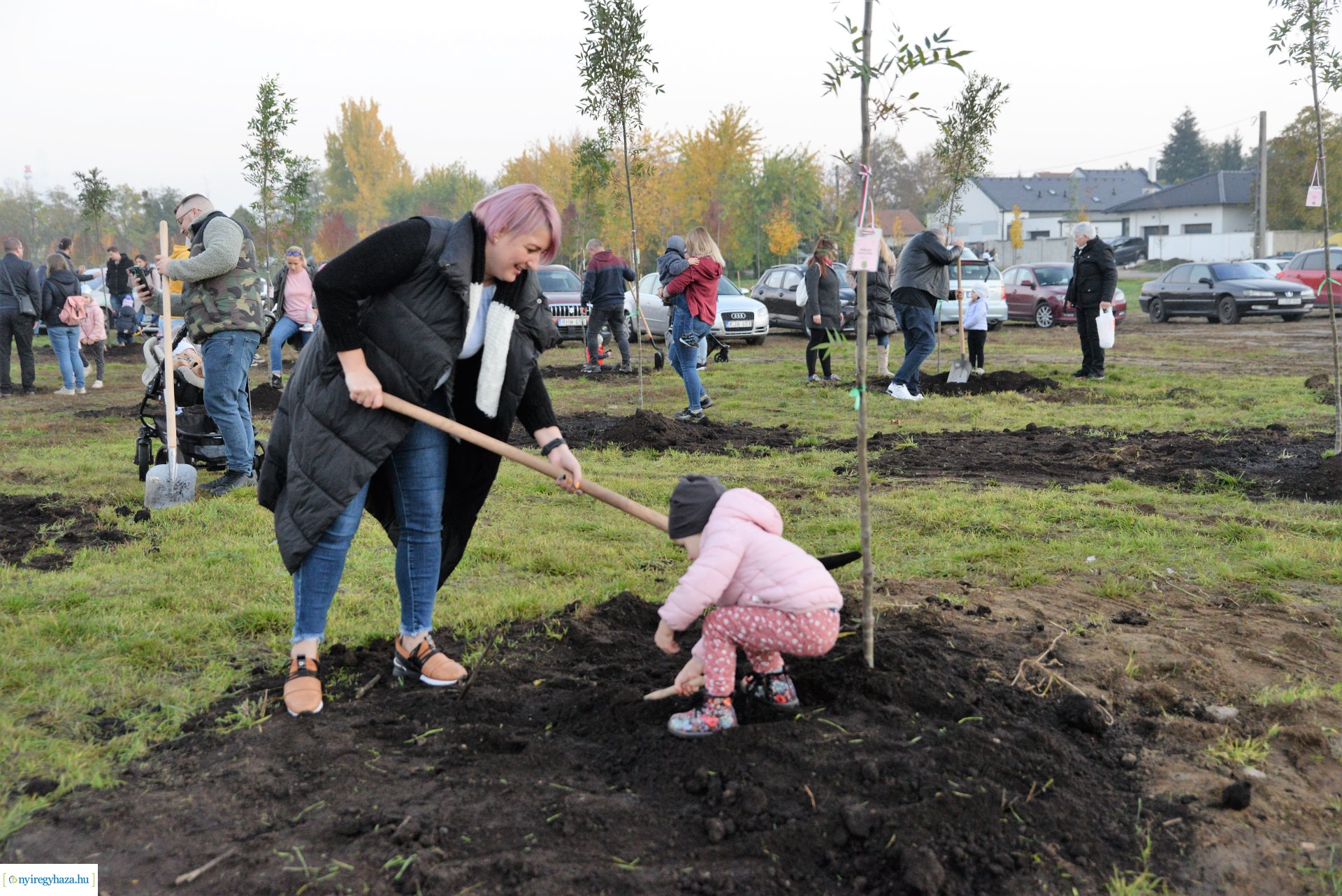 Faültetés az Újéletfa ligetben 2022