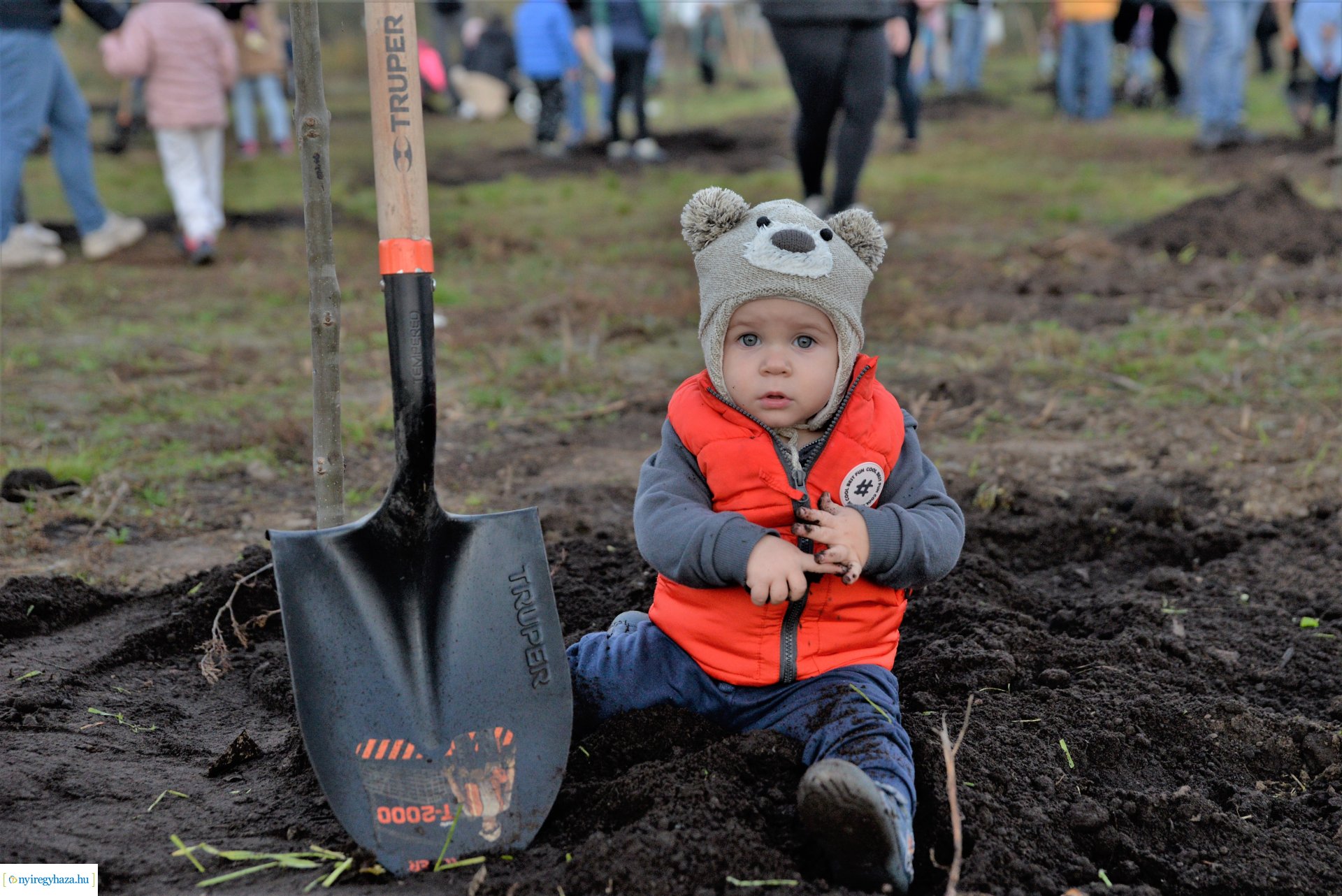 Faültetés az Újéletfa ligetben 2022