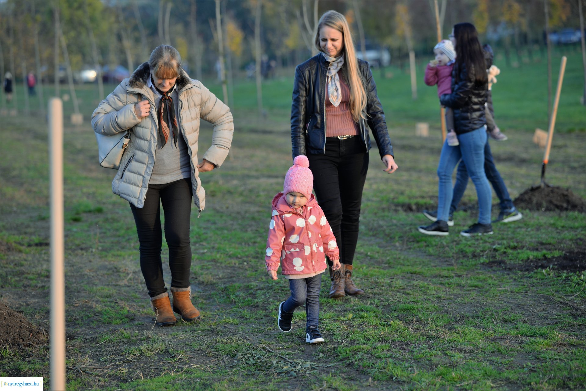 Faültetés az Újéletfa ligetben 2022