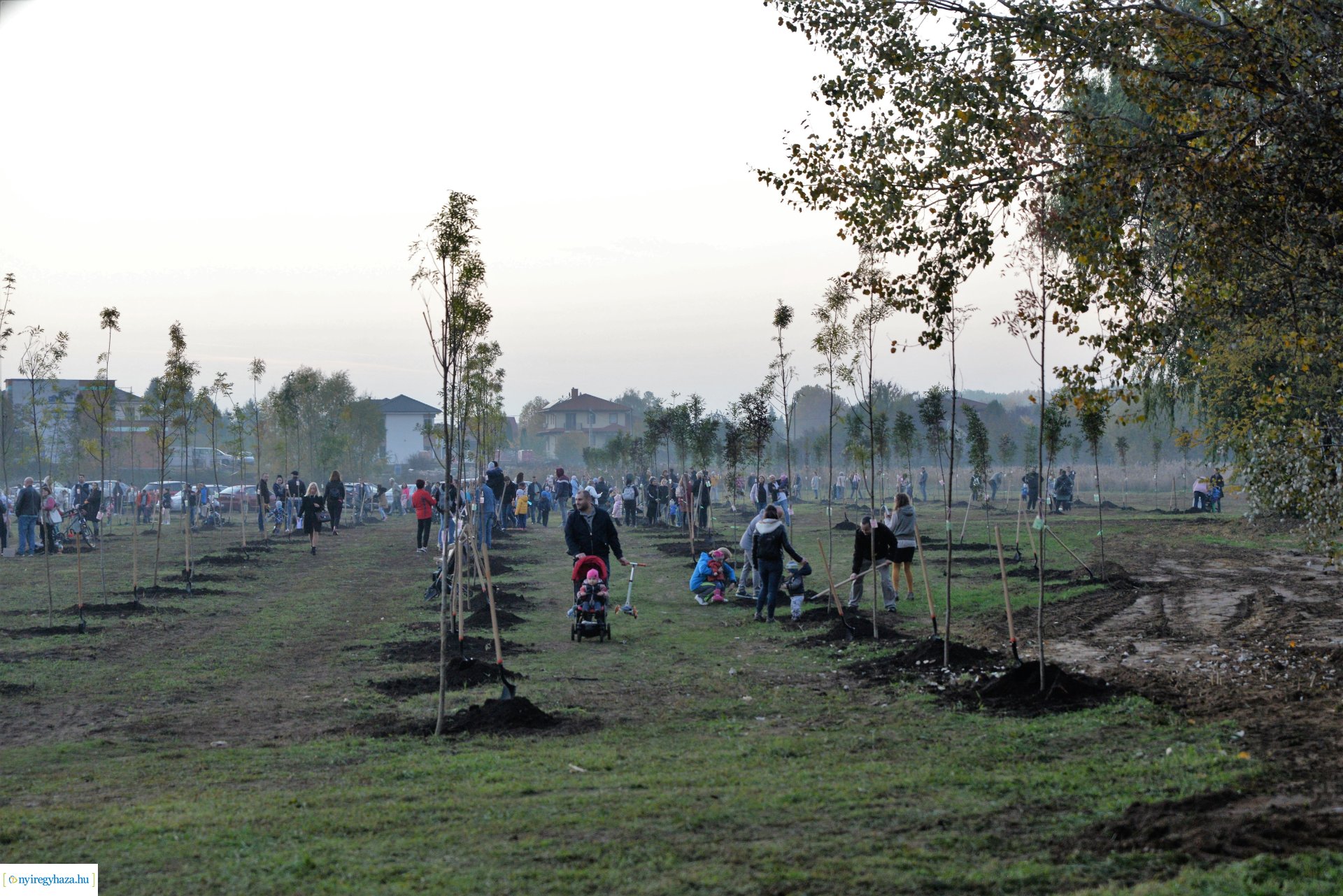 Faültetés az Újéletfa ligetben 2022