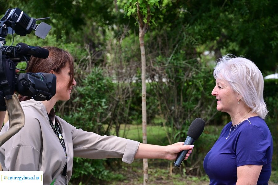 Faültetés Butykán