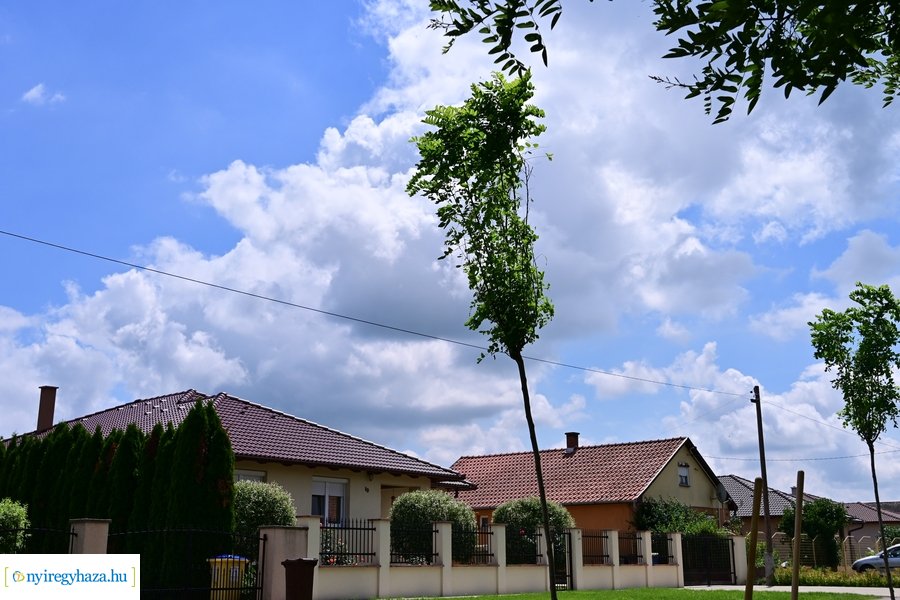 Faültetés Butykán