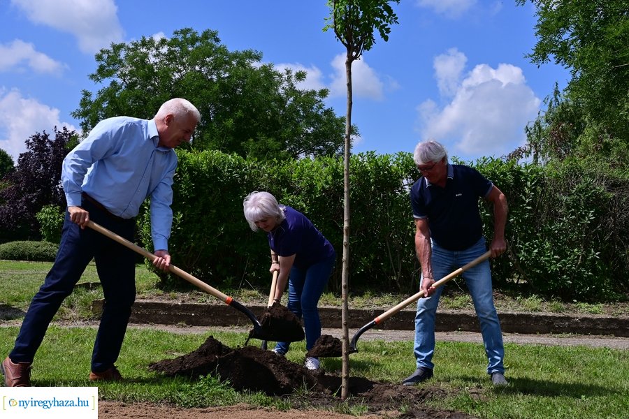 Faültetés Butykán