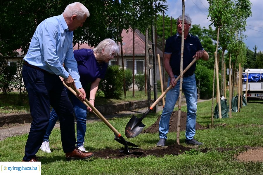 Faültetés Butykán