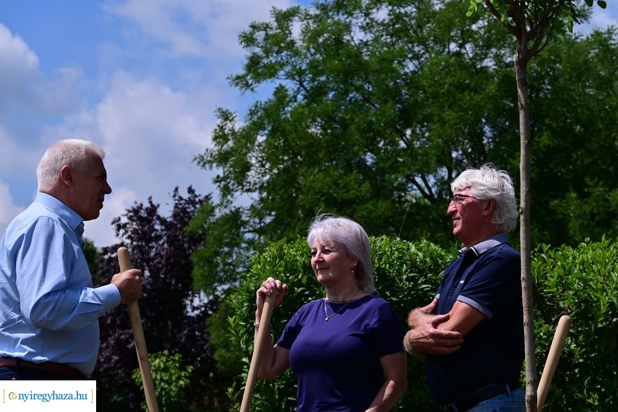 Faültetés Butykán