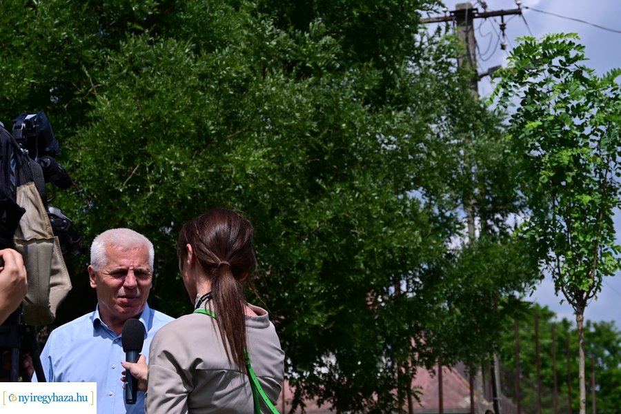 Faültetés Butykán