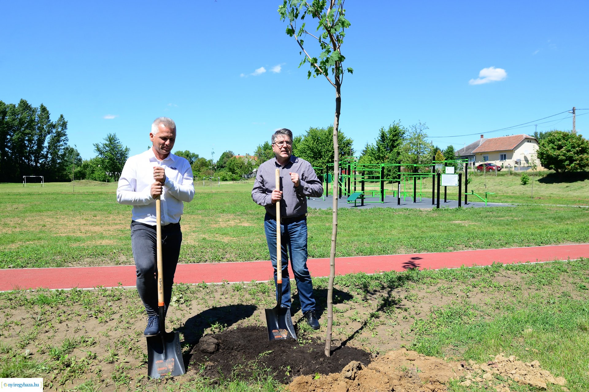 Faültetés Nyírszőlősön