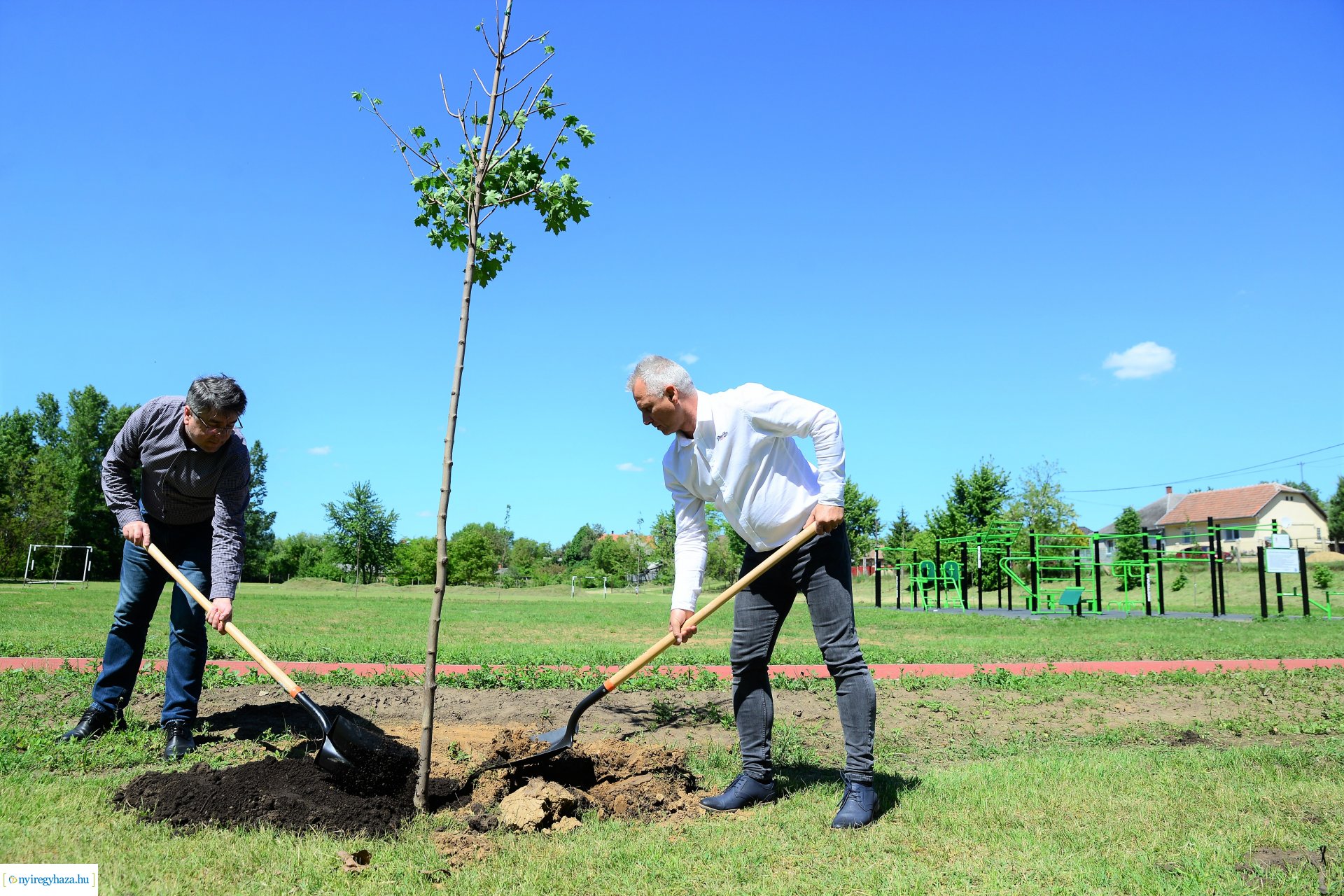 Faültetés Nyírszőlősön
