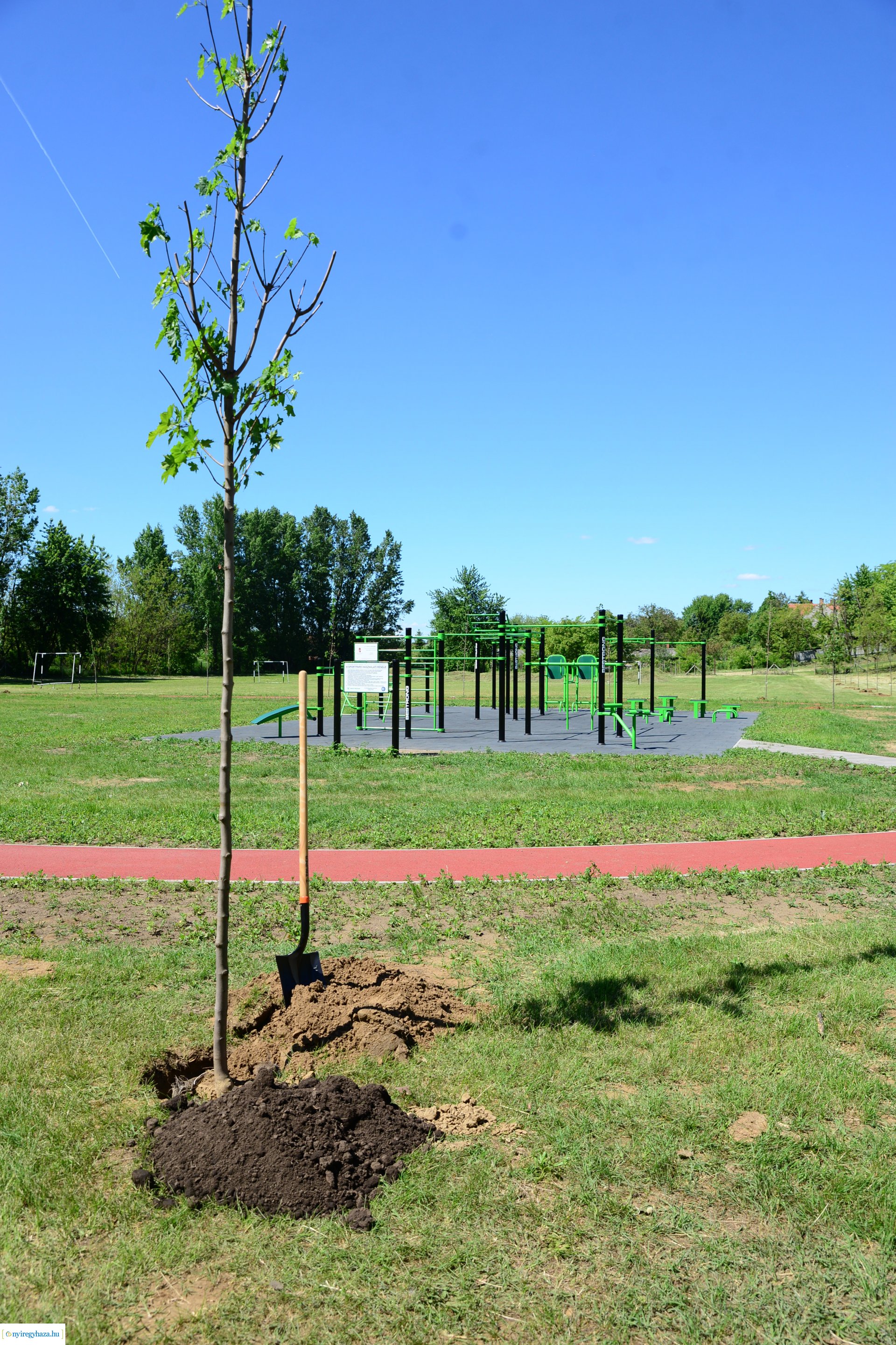 Faültetés Nyírszőlősön