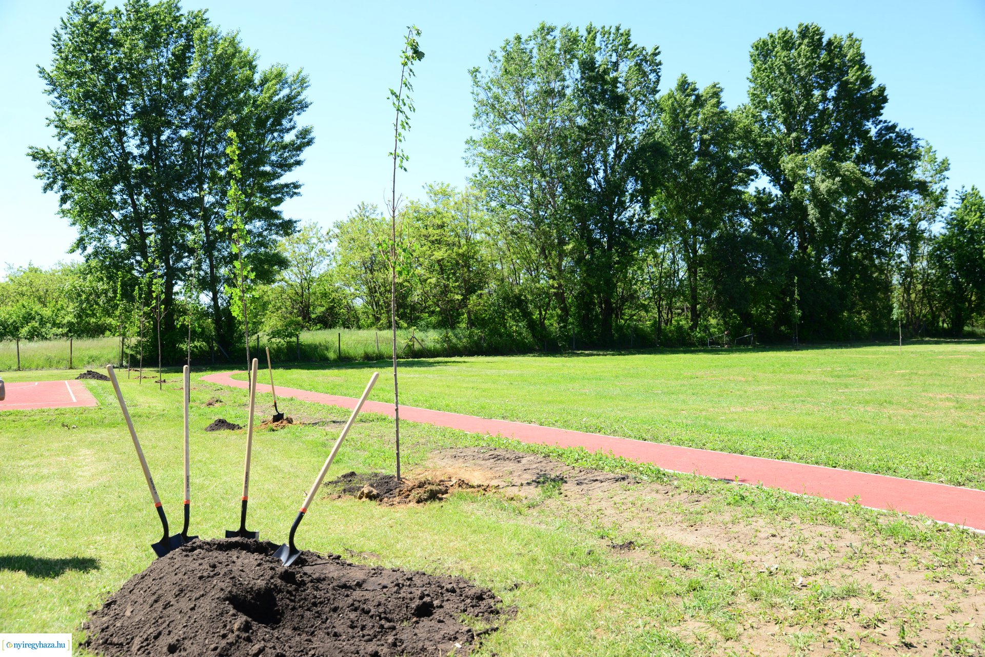 Faültetés Nyírszőlősön