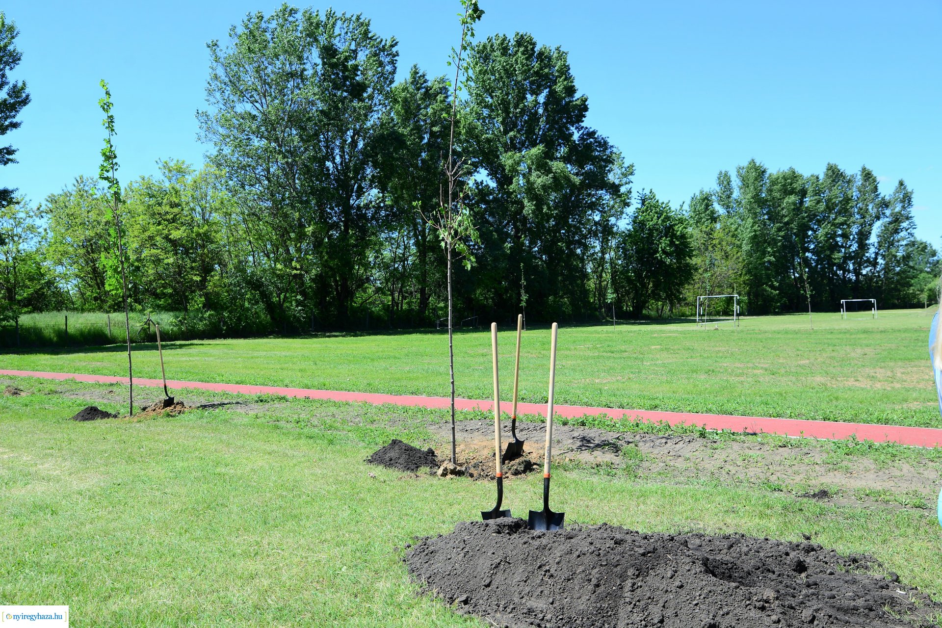 Faültetés Nyírszőlősön
